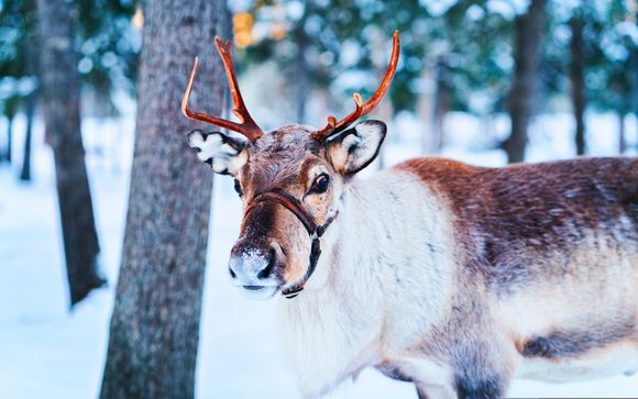 Mettez une option sur l