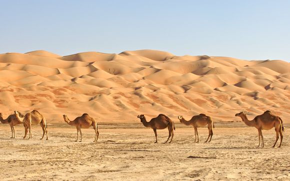 Zoom sur votre programme