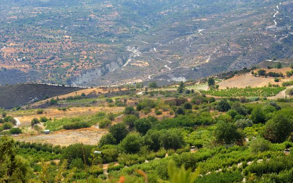 Optionele excursies