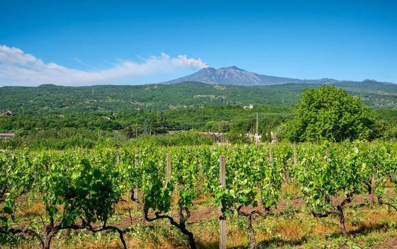 Mettez une option sur l