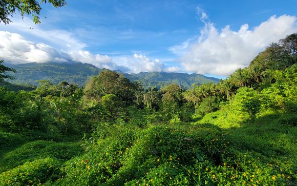 Zoom sur votre programme