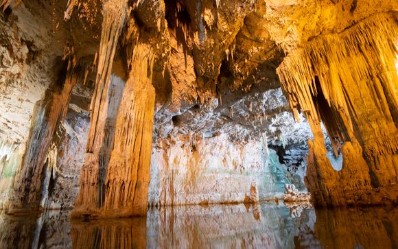 Inbegrepen excursies