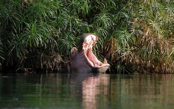 Welkom in... Kenia
