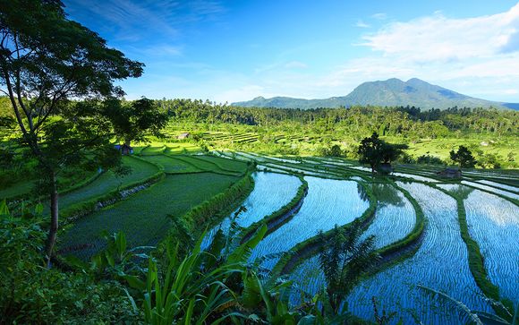 Welkom op Bali