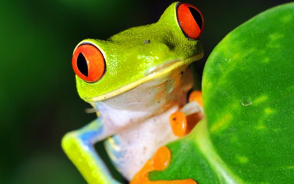 Welkom in... Costa Rica