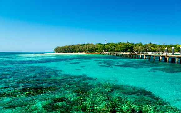 Mettez une option sur l