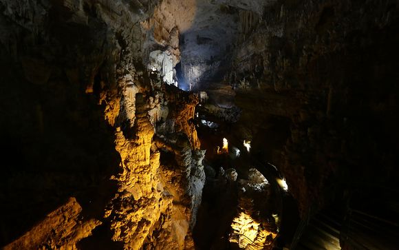 Zoom sur vos excursions