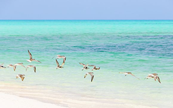 Mettez une option sur l’évasion