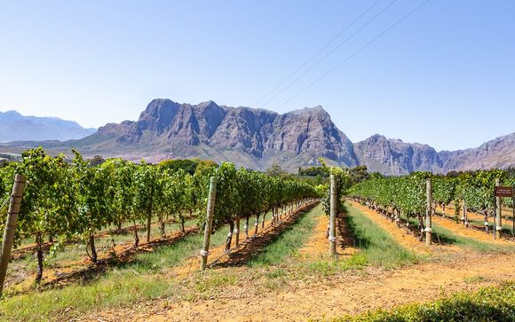 Vos excursions pour plus d