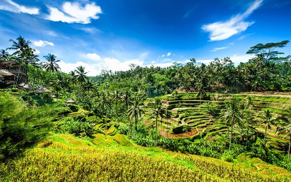 Welkom op...Bali
