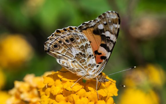Et pour aller plus loin...