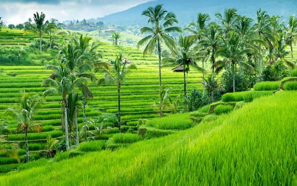 Welkom in... Bali!