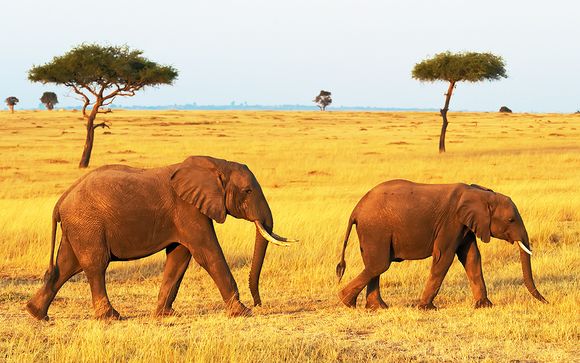 Votre circuit en un clin d'oeil