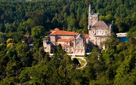 Welkom in... Bussaco