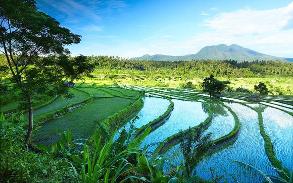 Rendez-vous... à Bali