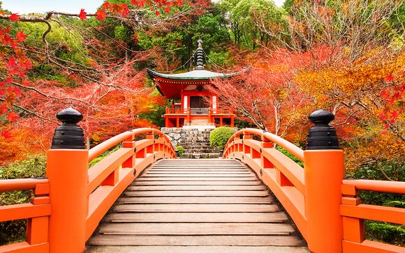 Zoom sur votre programme