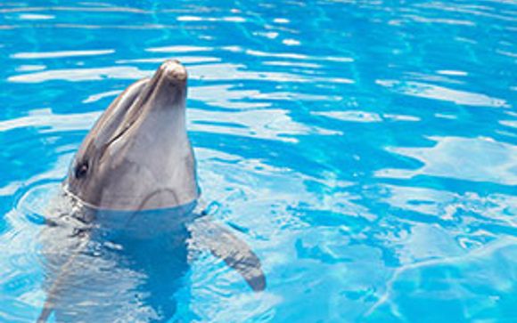 Mettez une option sur l'évasion à l'île Maurice