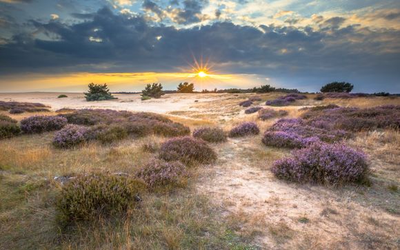 Welkom op... de Veluwe!