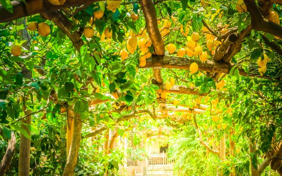 Nos petites astuces pour un séjour idéal