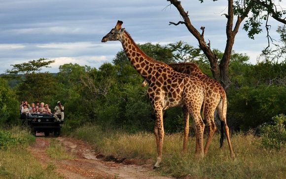Uw optionele safari