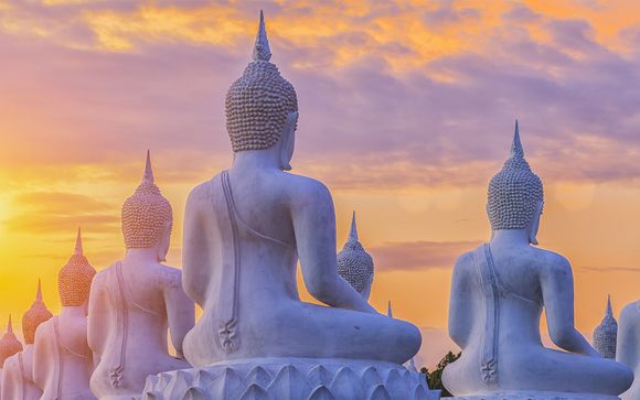 Zoom sur votre programme