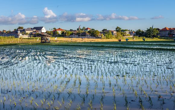 Rendez-vous... à Bali