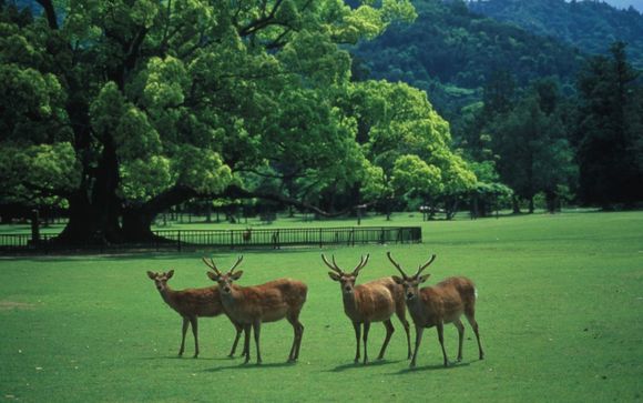 Mettez une option sur l