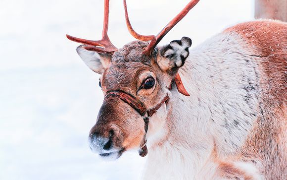 Zoom sur votre programme