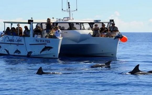 Mettez une option sur l’évasion à La Réunion