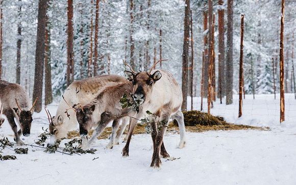 Nos petites astuces pour un séjour idéal