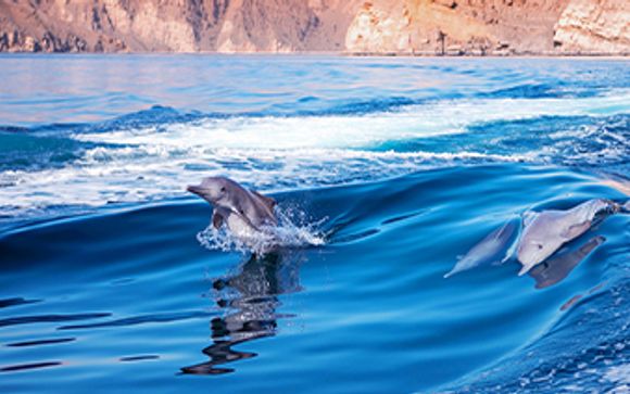 Mettez une option sur l’évasion