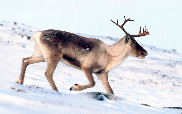 Zoom sur votre programme