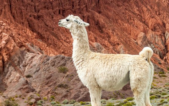 Nos petites astuces pour un séjour idéal