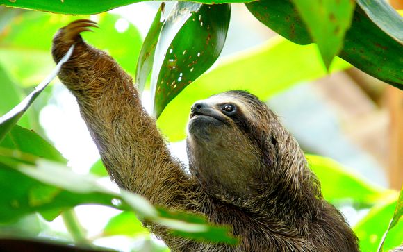 Rendez-vous... au Costa Rica et au Nicaragua
