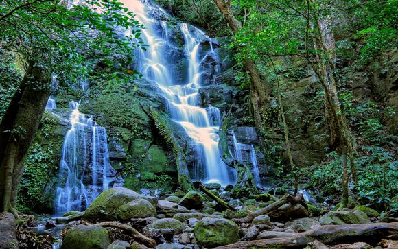 Zoom sur votre programme en 11 nuits