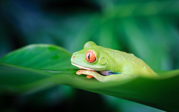 Zoom sur votre programme en 11 nuits