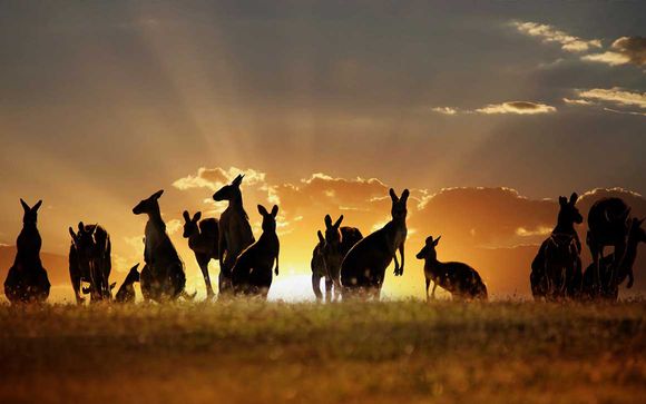 Welkom in... Australië