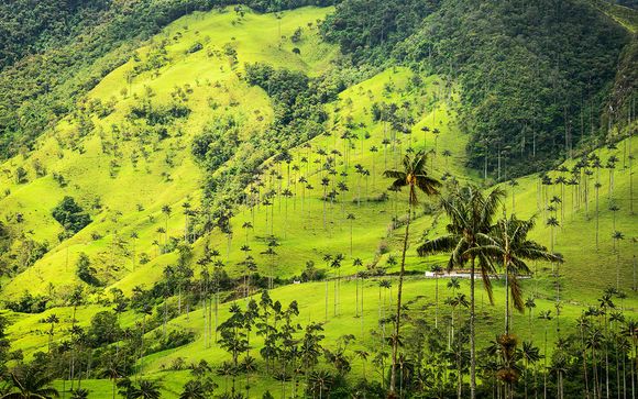 Rendez-vous... en Colombie