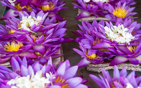 Nos petites astuces pour un séjour idéal