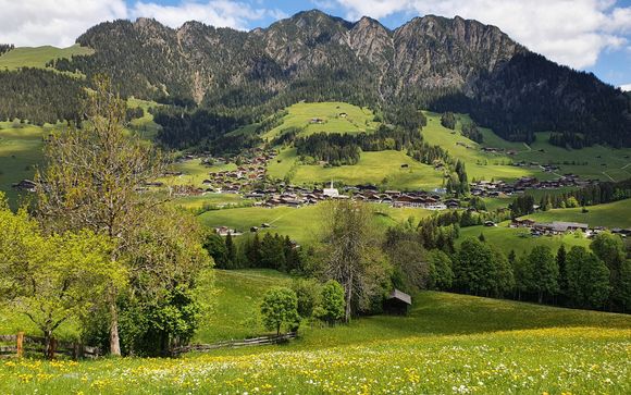 Ihre Ausflüge im Detail