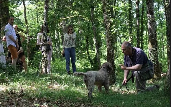 Mettez une option sur l