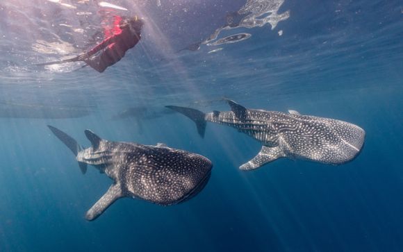 Ihre Rundreise im Detail