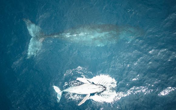 Ihre Rundreise im Detail