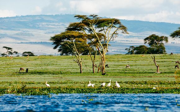 Willkommen in Kenia und Sansibar!