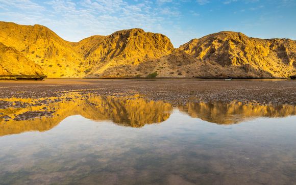 Im Angebot 2 enthalten