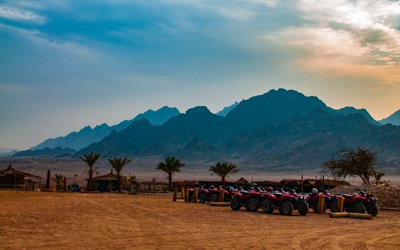 Im Angebot enthalten