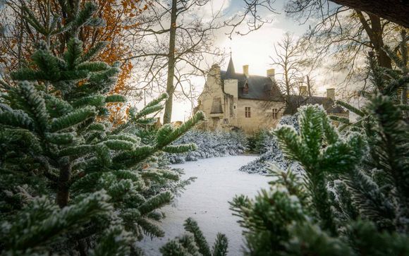 Im Angebot enthalten