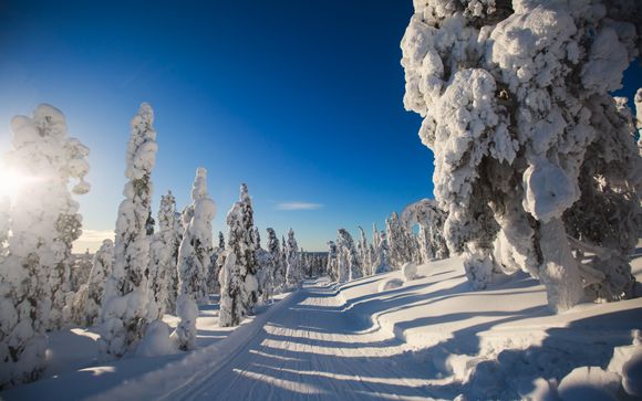 Lappland-Abenteuer mit einem Paket von 4 Ausflügen