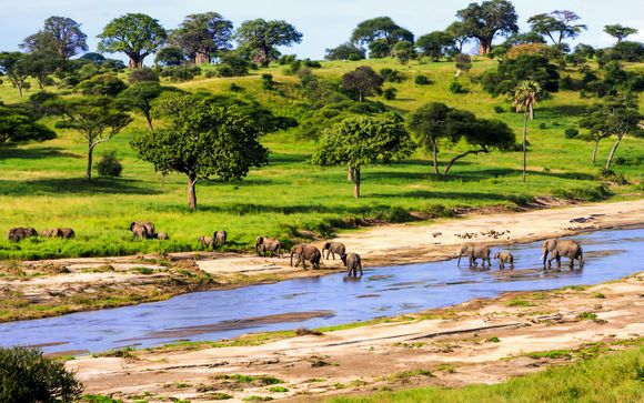 Rendez-vous... en Tanzanie