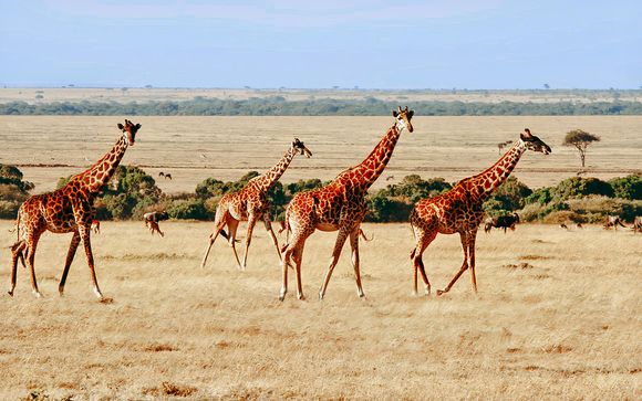 Willkommen in Kenia und auf Sansibar